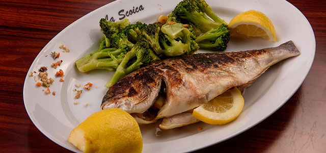 scoica-category-fish